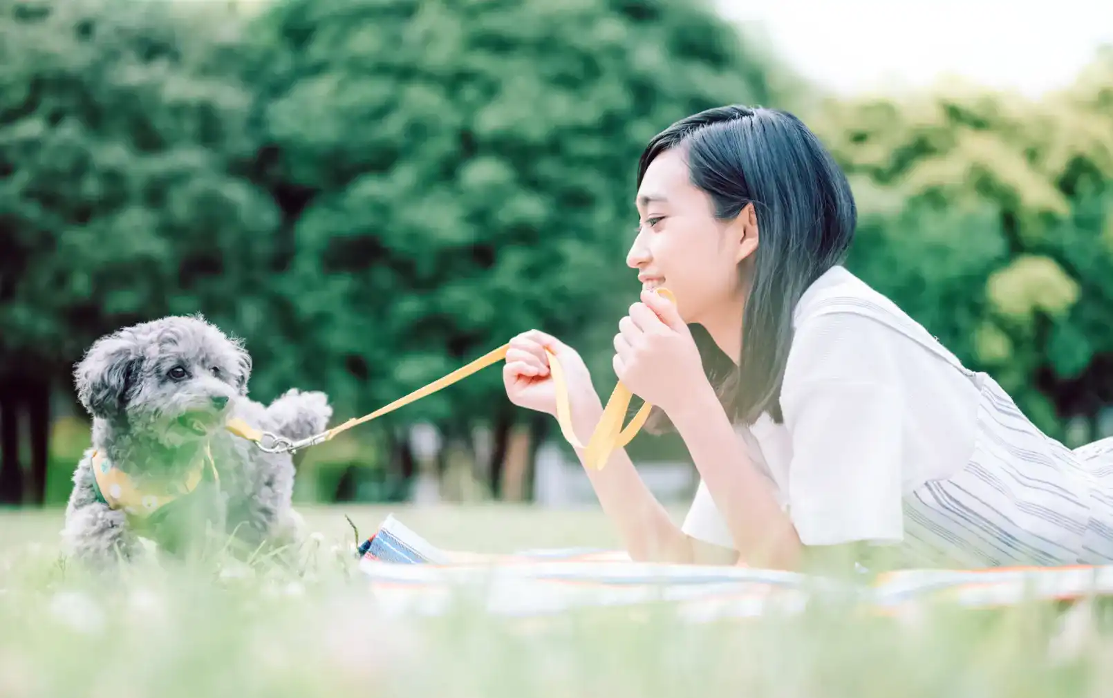 芝生で女性と犬が遊んでいる様子